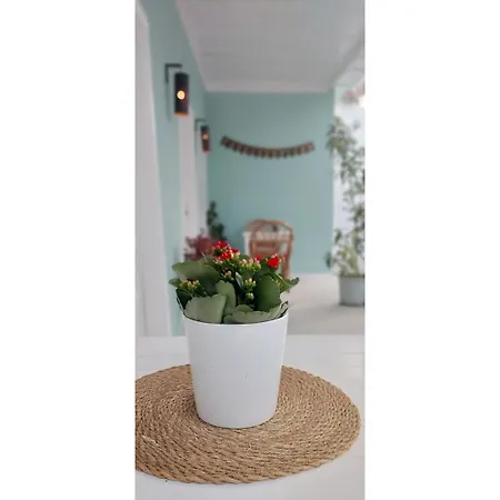 Voda Vakantiehuis