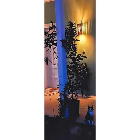 Voda Holiday home *